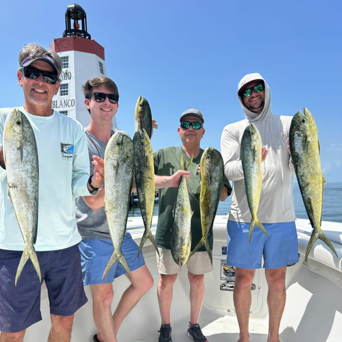 Summer Fishing Charters